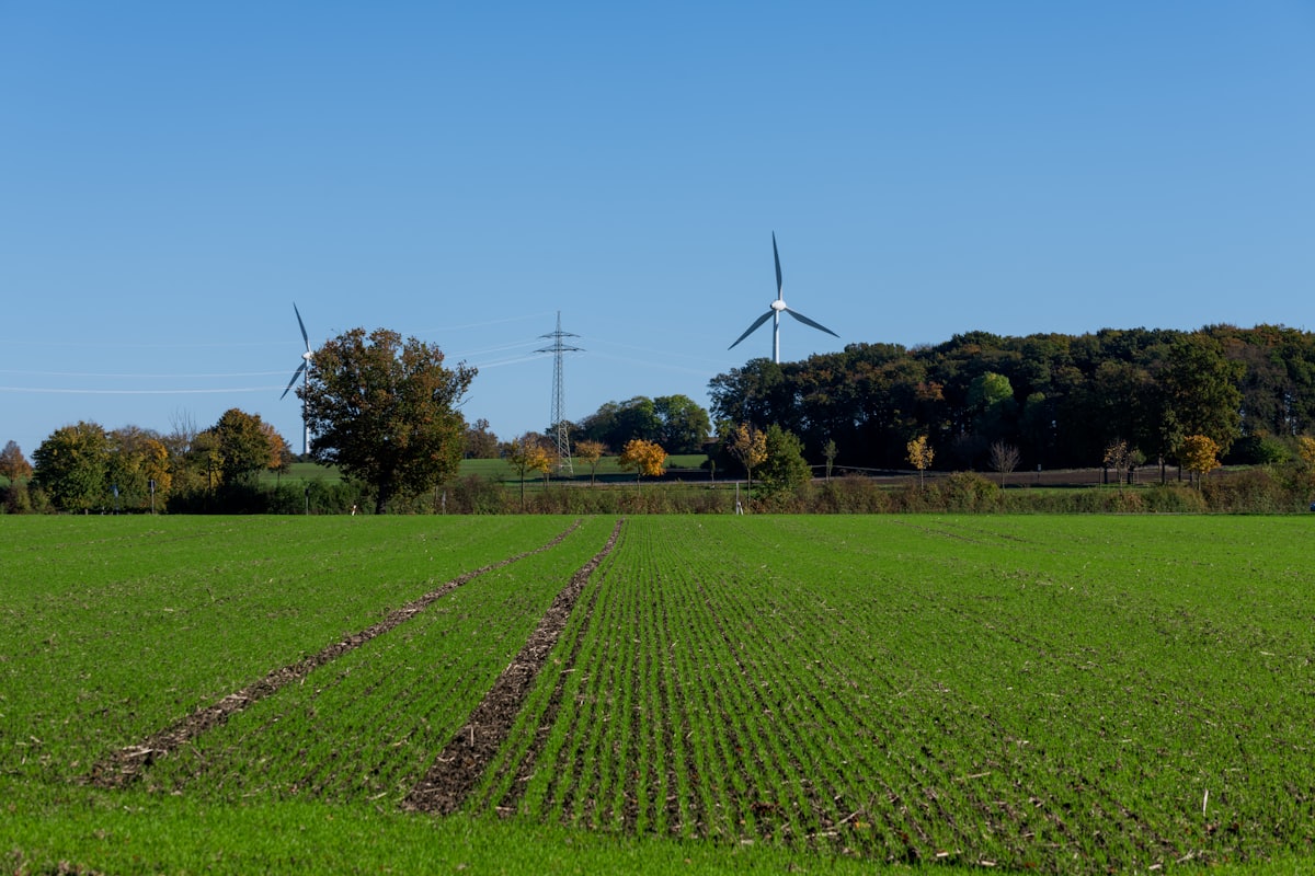 Wind turbines standing over green County Down farmland with a power line in the distance