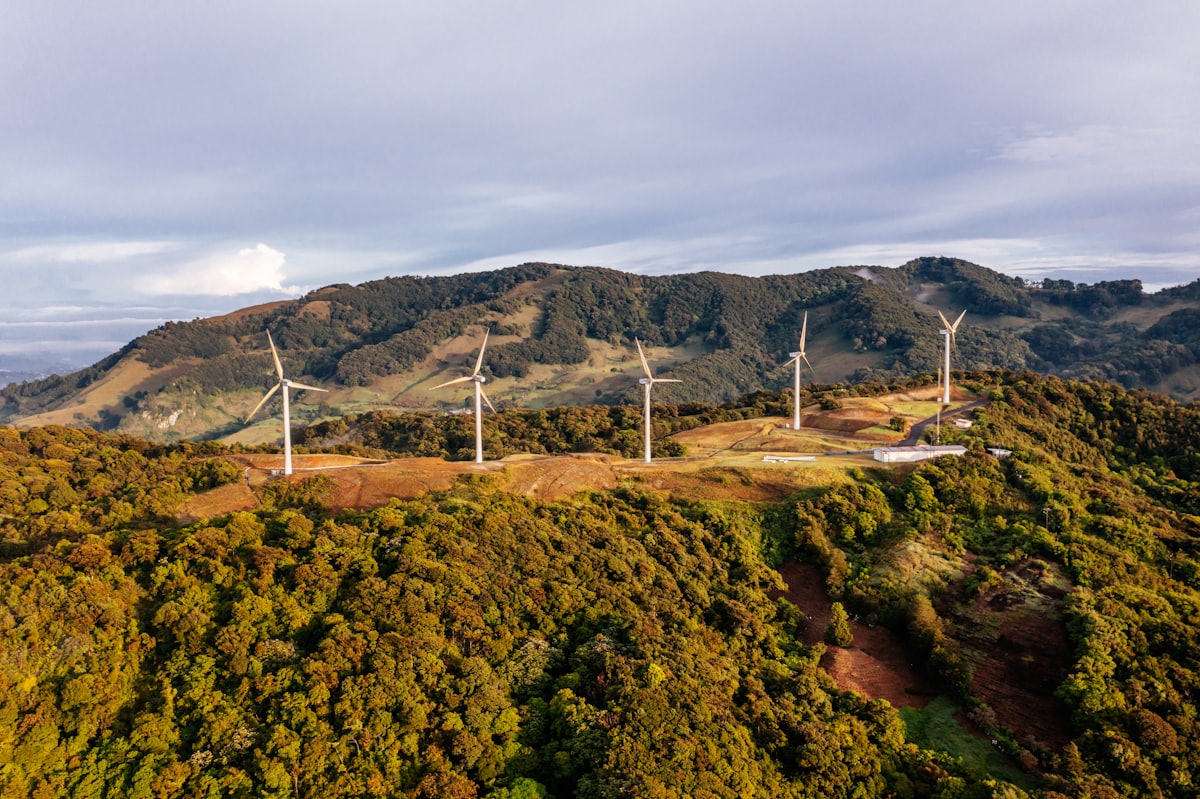 A row of wind turbines on a forested hilltop